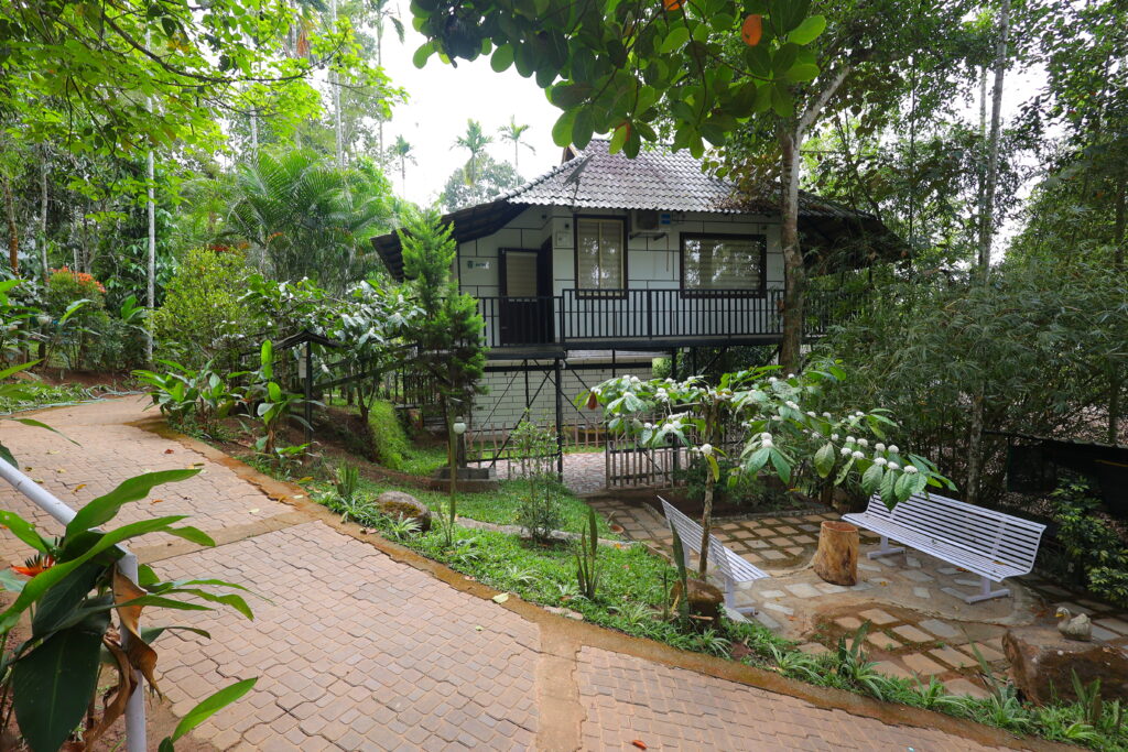 Jungle resorts in wayanad