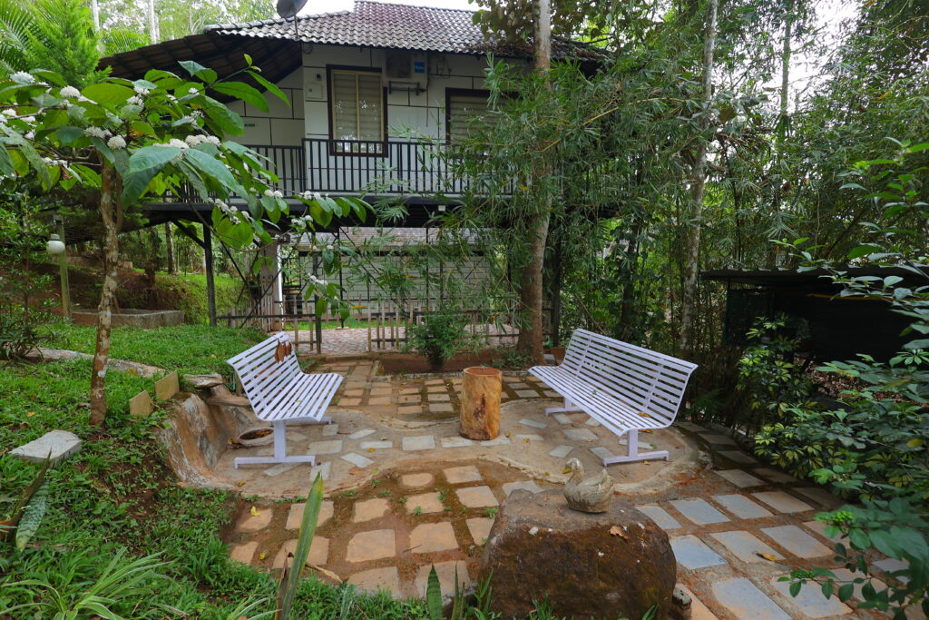 Jungle resorts in wayanad