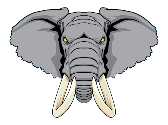 Site Icon